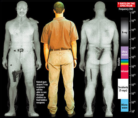 Human body scanner